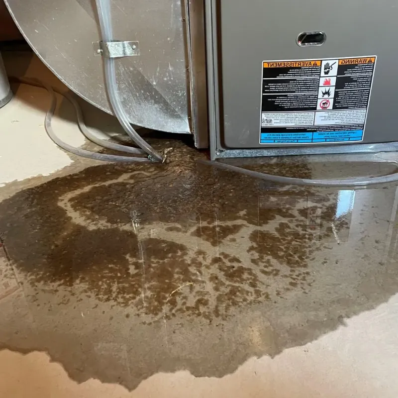 Pipe Burst and Leak Restoration in Lyman County, SD